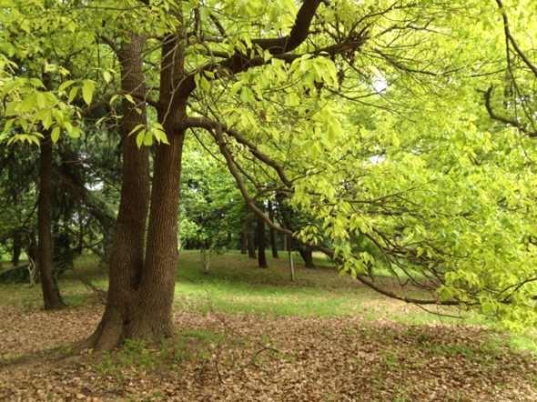 �������၆�F��ֹ�����~Ƭ�S��Ч���ܸܵΣ��Ԓ��13838587319 �O����